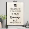 Tranh khẩu hiệu tiếng Anh LEVU EN25: The true sign of intelligence is not knowledge but imagination