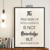 Tranh khẩu hiệu tiếng Anh LEVU EN25: The true sign of intelligence is not knowledge but imagination