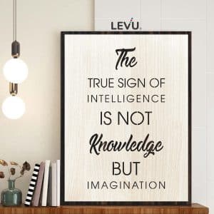 tranh khau hieu tieng anh levu en25 the true sign of intelligence is not knowledge but imagination 18