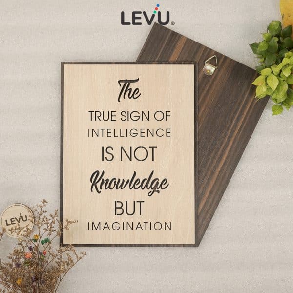 Tranh khẩu hiệu tiếng Anh LEVU EN25: The true sign of intelligence is not knowledge but imagination