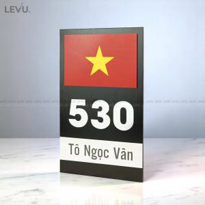 Bảng số nhà alu chữ nổi mica gương LEVU ALSN01 25x15cm nội dung làm theo yêu cầu